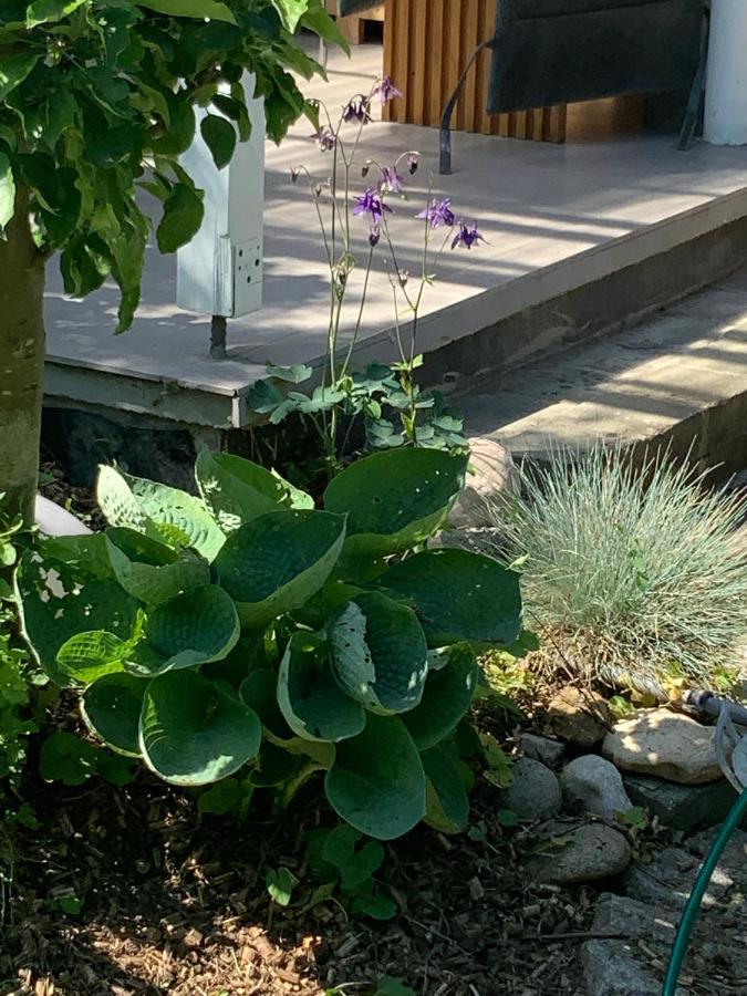 Haus 16 Ferienhaus Zwischen Salzburg Chiemsee Und Waging Am See Kirchanschoring Zewnętrze zdjęcie
